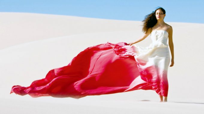 Can we ever know what cats think?