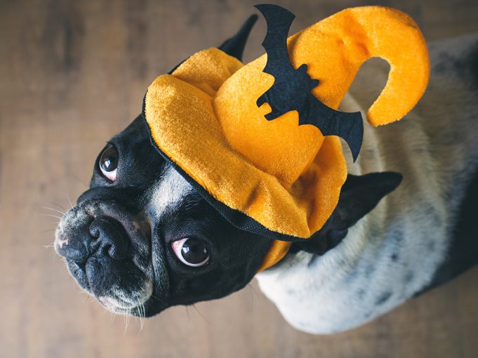 Actors Are Wearing the Best from Paris Week