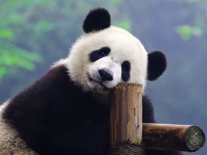 Kevin Smith Shows his Love for Natural Inspired Outfits