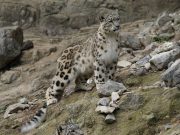 Celebrating the 10th Anniversary of our Sanctuary