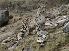 Celebrating the 10th Anniversary of our Sanctuary