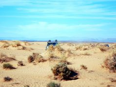 The Lexus Hoverboard is Here and it’s Real