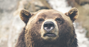 Tommy Hilfiger’s Rock N’ Roll Spring 2015 Collection