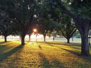 How Many Calories Does Running Really Burn?