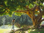 Why Do Women Cope With Stress Better than Men