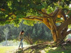 Why Do Women Cope With Stress Better than Men