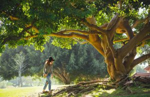 Why Do Women Cope With Stress Better than Men