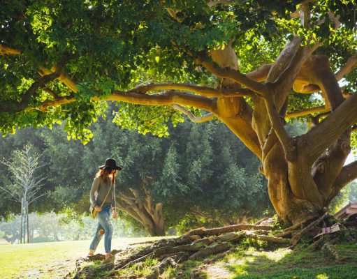 Why Do Women Cope With Stress Better than Men