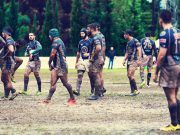 Polo Can’t Be Allowed to Go on in its Current Situation