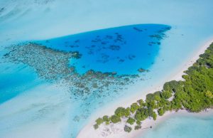 Swimming the Crystal Waters of the Blue Lagoon