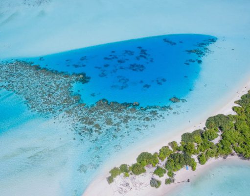 Swimming the Crystal Waters of the Blue Lagoon