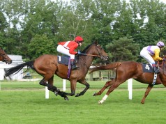 Talking Horses: today’s best bets and the latest racing news