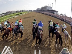 Talking Horses: Best bets for Friday racing plus our tips