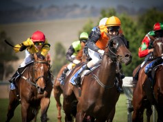 Sport picture of the day: the flying horse