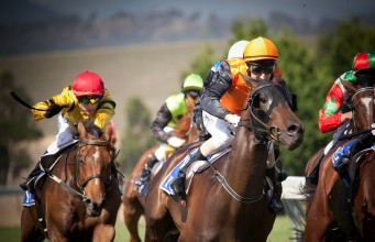 Sport picture of the day: the flying horse