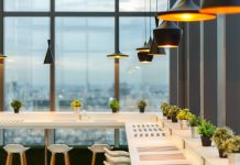 Creative decorating with houseplants, from floor to ceiling