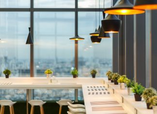 Creative decorating with houseplants, from floor to ceiling