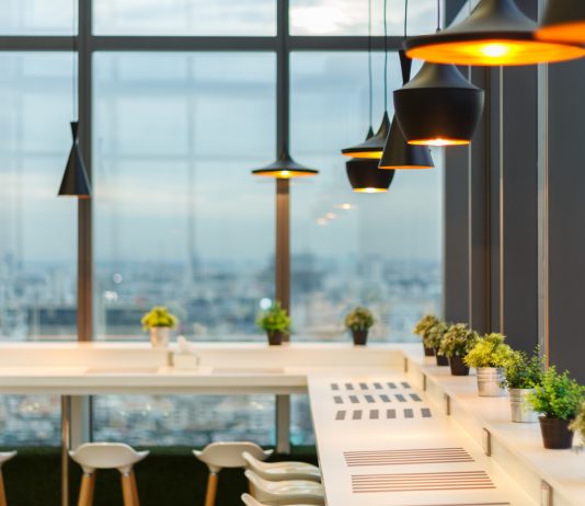 Creative decorating with houseplants, from floor to ceiling