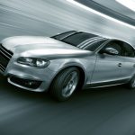 Home Run Kitten Favored in Competitive San Simeon