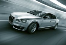 Home Run Kitten Favored in Competitive San Simeon