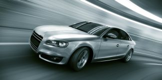 Home Run Kitten Favored in Competitive San Simeon