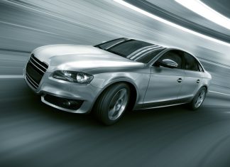 Home Run Kitten Favored in Competitive San Simeon