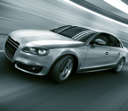 Home Run Kitten Favored in Competitive San Simeon