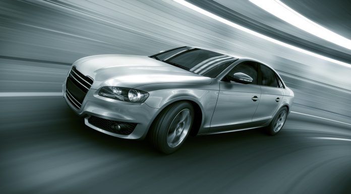 Home Run Kitten Favored in Competitive San Simeon