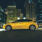 Wandjina to Join Dissident at Newgate Farm