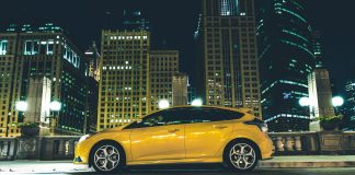 Wandjina to Join Dissident at Newgate Farm