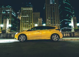 Wandjina to Join Dissident at Newgate Farm