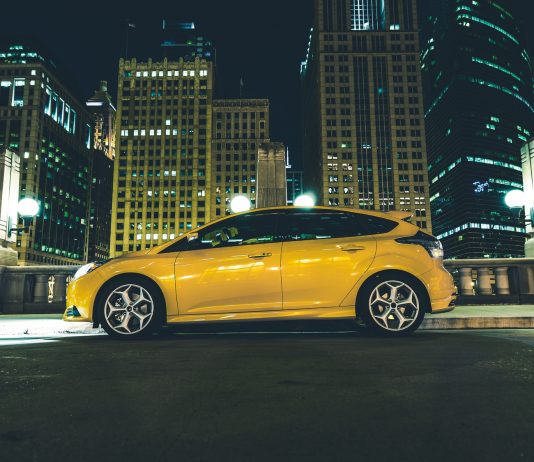 Wandjina to Join Dissident at Newgate Farm