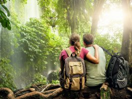 Haunts of the Heart: Landscapes of Lynn Zimmerman