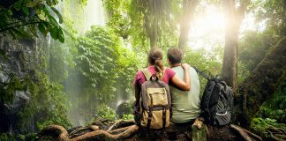 Haunts of the Heart: Landscapes of Lynn Zimmerman