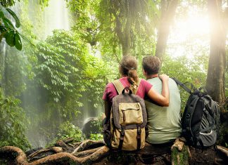 Haunts of the Heart: Landscapes of Lynn Zimmerman