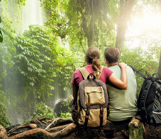 Haunts of the Heart: Landscapes of Lynn Zimmerman