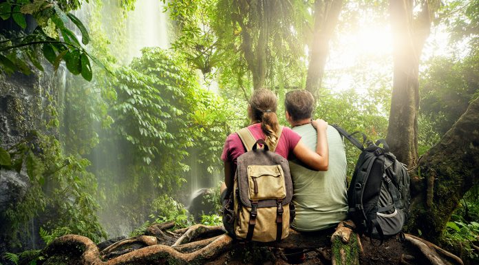 Haunts of the Heart: Landscapes of Lynn Zimmerman