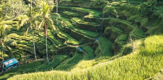 Dream Homes: North Penthouse Listed For $1.7 Million