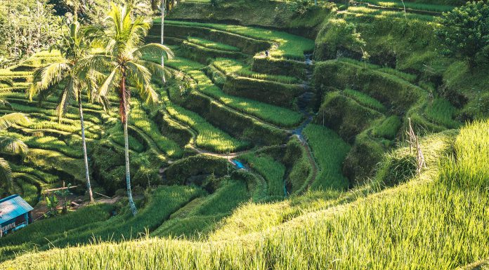 Dream Homes: North Penthouse Listed For $1.7 Million