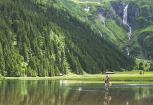 Express Recipes: How to make Creamy Papaya Raita