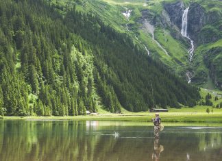 Express Recipes: How to make Creamy Papaya Raita