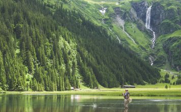 Express Recipes: How to make Creamy Papaya Raita