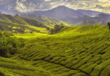 Heritage Museums & Gardens to Open with New Landscape