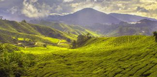 Heritage Museums & Gardens to Open with New Landscape