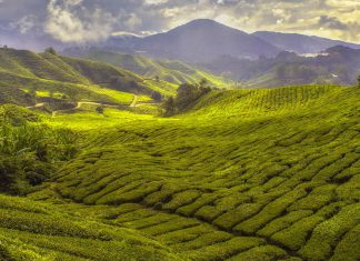 Heritage Museums & Gardens to Open with New Landscape