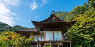 Japanese House in a Forest Landscape with Views of Trees and Sky