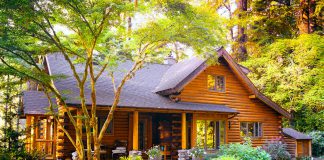 Tropical Modernism: Homes That Blend Nature and Architecture