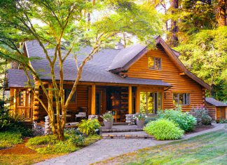 Tropical Modernism: Homes That Blend Nature and Architecture