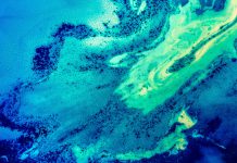 The Art of Imagination by Ignacio Nazabal