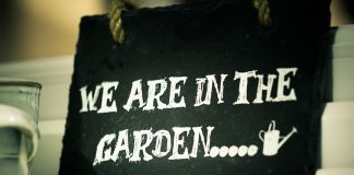 Janet Delaney On Hand-Painted Signs